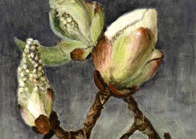 Chestnut buds about to blossom, oil on gesso board, 15 x 15 cm