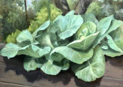 The essence of cabbage, oil on canvas, 50 x 40 cm