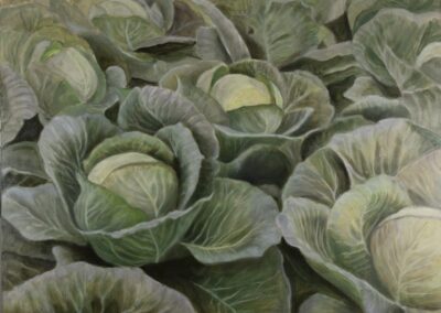 Field of cabbage. oil and tempera on gesso panel, 80x60 cm