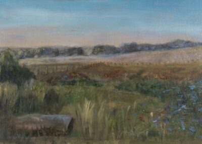 Back yard and fields. oil on panel, 30x20 cm